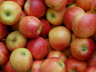 Apfel Einheit Ifco 12.5 kg