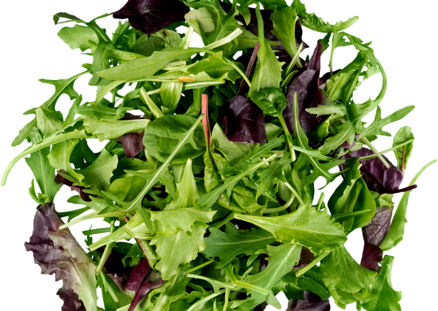 Schnittsalat grün/rot