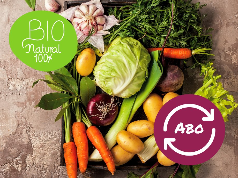 Bio Gemüsekiste klein im Abo