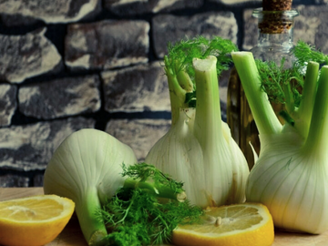 Bio Fenchel 500 g