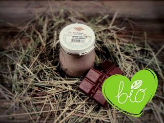 Bio Schoggi Joghurt 180 g