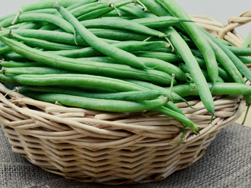 Bio Buschbohnen 500 g