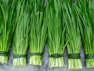 Bio Schnittlauch Bund