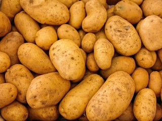 Bio Kartoffeln mehligkochend Ifco Einheit