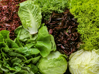 Bio Salate gemischt Ifco Einheit