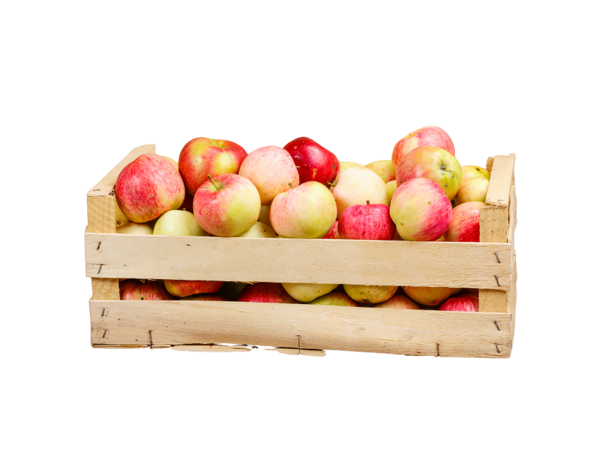 Äpfel-/ Birnenmix 10 kg
