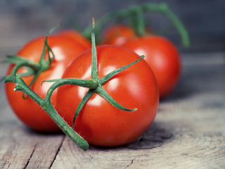 Bio Tomaten 500 g