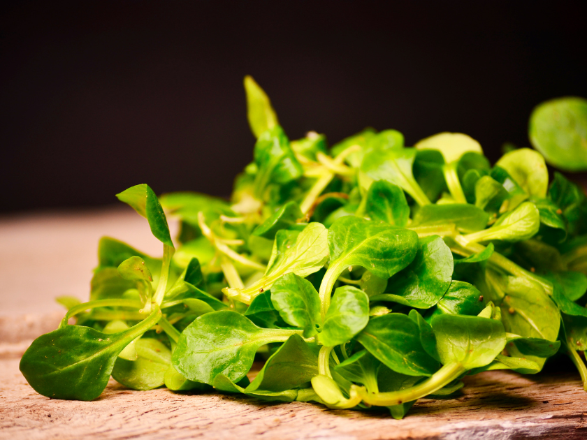 Bio Nüsslisalat 200 g