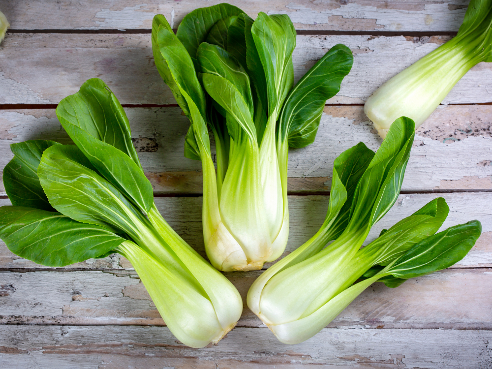 Bio Pak Choi