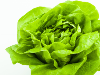 Kopfsalat grün 8 Stück/Ifco