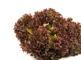 Rosso /5 kg offen