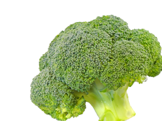 Broccoli /6 kg offen