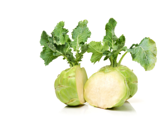 Kohlraben / 12 Stück