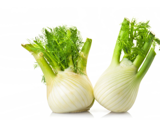 Fenchel / 6kg offen
