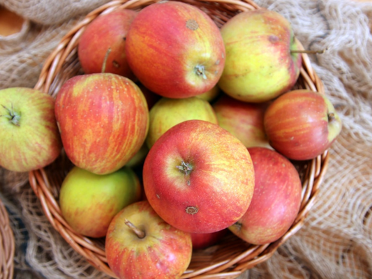 Äpfel Gala 1 kg