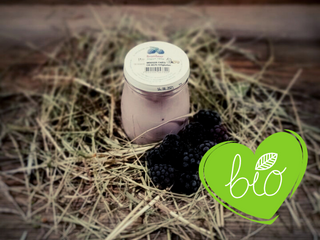 Bio Brombeer Joghurt 180 g