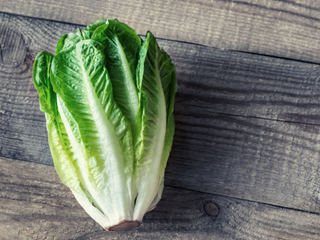 Bio Salat Zuckerhut per Stück