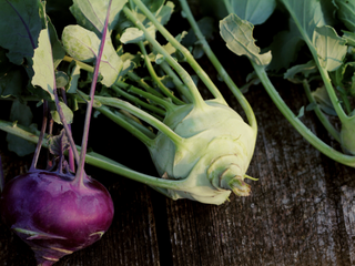 Kohlrabi